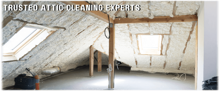 Attic Cleaning West Palm Beach